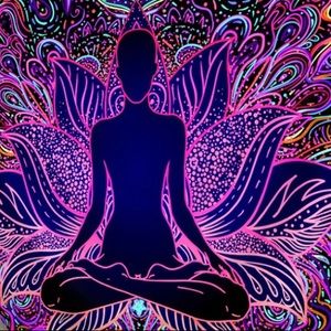 Meet your Posher, Destiny